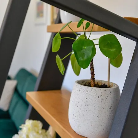 Ragusa Apartman Zára